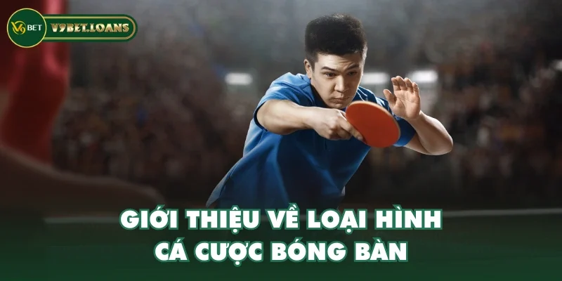 Giới thiệu về loại hình cá cược bóng bàn